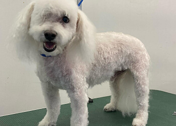 Delta pet grooming Barkberry Grooming