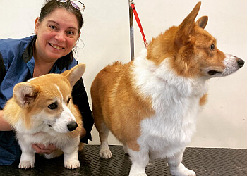 Delta pet grooming Barkberry Grooming