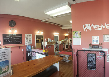 Kelowna pet grooming Barkleys Muttland