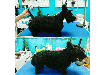 Newmarket pet grooming Barks N' Bubbles