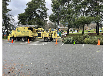 Burnaby tree service Bartlett Tree Experts