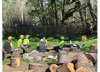 Burnaby tree service Bartlett Tree Experts