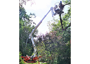 Kawartha Lakes tree service Bartlett Tree Experts