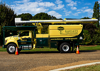 Kawartha Lakes Services d'arboriculteur Bartlett Tree Experts