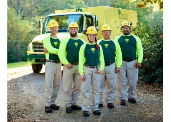 Oakville tree service Bartlett Tree Experts