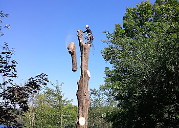 Bartlett Tree Experts - Peterborough, ON Tree Services - Business Exterior Image