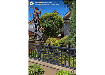 Burnaby lawn care service Basil Green Landscaping