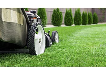 Vancouver Service D'Entretien De Pelouse Basil Green Landscaping