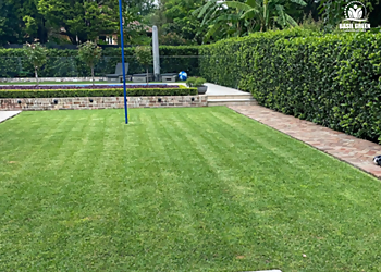 Basil Green Lawn Care - Coquitlam, BC Lawn Care Services - Service Highlights