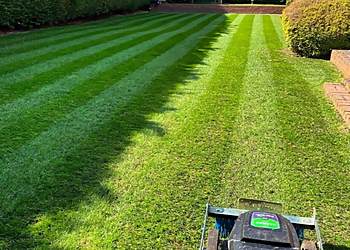 Basil Green Lawn Care - Coquitlam, BC Lawn Care Services - Project Image