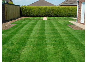 Surrey lawn care service Basil Green Lawn Care