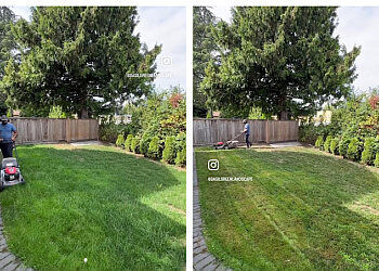 Surrey lawn care service Basil Green Lawn Care