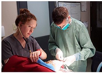 Toronto veterinary clinic Beaches Animal Hospital