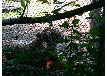 Barrie places to see Bear Creek Exotic Wildlife Sanctuary