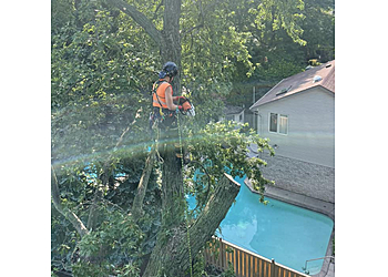 Brantford Services d'arboriculteur Beauregard’s Tree Services