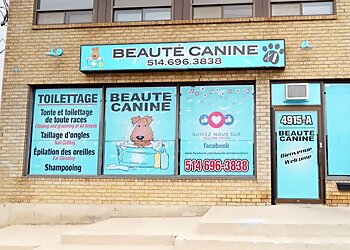 Dollard des Ormeaux pet grooming Beauté Canine image 1