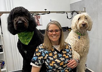 Saguenay Salons de Toilettage Pour Animaux De Compagnie Beauté Canine et Féline