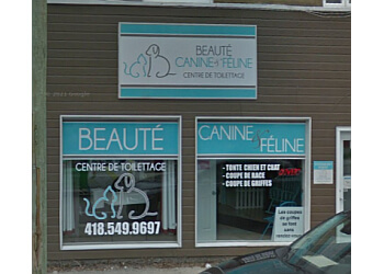 Saguenay pet grooming Beauté Canine et Féline