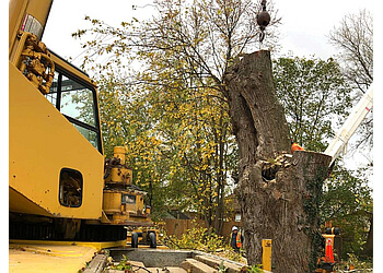 Niagara Falls Services d'arboriculteur Beaver Tree Service