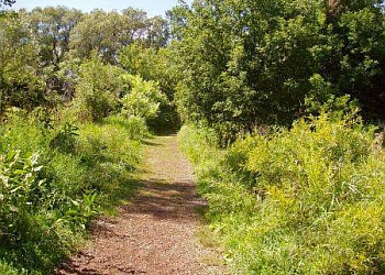 Waterloo hiking trail Bechtel Park
