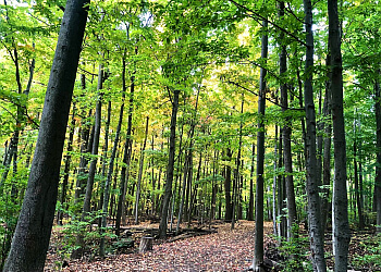 Waterloo hiking trail Bechtel Park