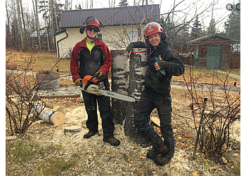Prince George tree service Bednesti Tree Services Inc.