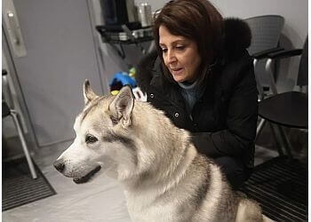 Laval veterinary clinic Bellerive Hôpital Vétérinaire Animal Hospital