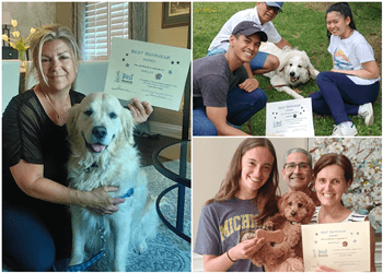 Oakville dog trainer Best Behaviour Dog Training Services