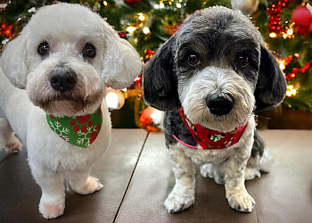 St Catharines Salons de Toilettage Pour Animaux De Compagnie Best Friends And Raina's Grooming