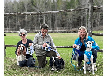 Best Friends Dog Training