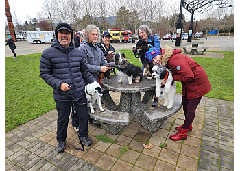 Nanaimo dog trainer Best Paw Forward image 1