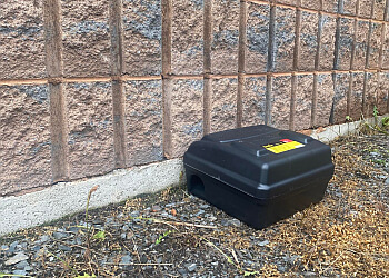 Drummondville pest control Bestia Extermination