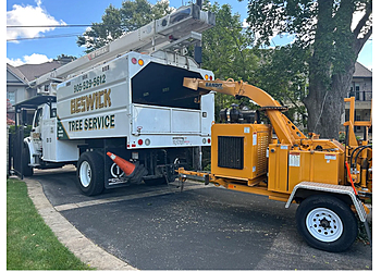 Cambridge Services d'arboriculteur Beswick Tree Service