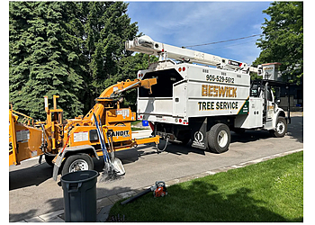 Cambridge Services d'arboriculteur Beswick Tree Service