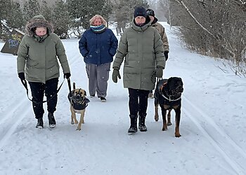 Gatineau dog trainer BetterDog