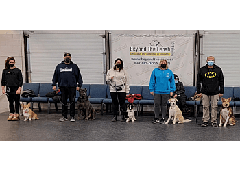 Mississauga Dresseurs De Chiens Beyond the Leash