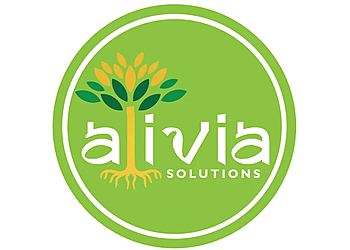 Orangeville marriage counselling Bibin Kannachel Ittiavira, MSW, RSW - ALIVIA SOLUTIONS PSYCHOTHERAPY AND WELLNESS