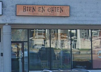 Repentigny pet grooming Bien En Chien image 1