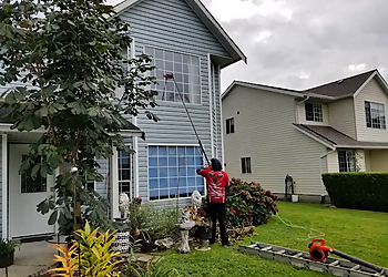 Big Moose PowerWashing Inc. - Maple Ridge, BC Window Cleaners - Professional Highlights