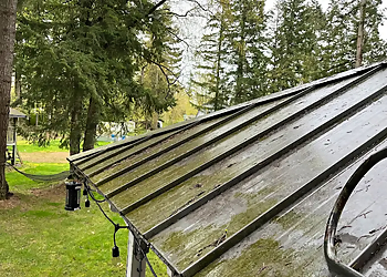 Big Moose PowerWashing Inc. - Maple Ridge, BC Window Cleaners - Service Highlights