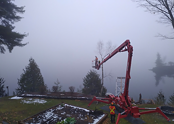 Big Tree Services Inc. - Brampton, ON Services d'arboriculteur - Emergency Service Image