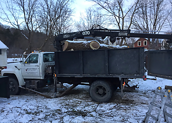 Big Tree Services Inc. - Brampton, ON Services d'arboriculteur - Service Vehicle Image