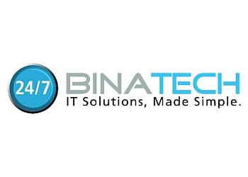Hamilton it service Binatech System Solutions
