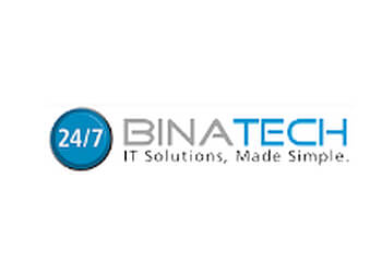 Hamilton it service Binatech Systems Solution