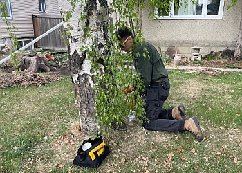 St Albert Services d'extermination de parasites Birch Fumigators