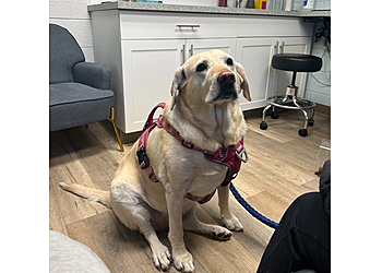 Winnipeg veterinary clinic Birchwood Animal Hospital