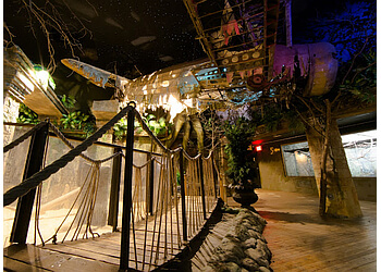 Niagara Falls places to see Bird Kingdom