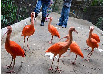 Niagara Falls places to see Bird Kingdom