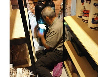 Hamilton Plombiers Birnie Plumbing and Drains of Hamilton