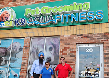 Brampton pet grooming Bitu's Pet Services-Pet Grooming, K9 Aquafitness image 1